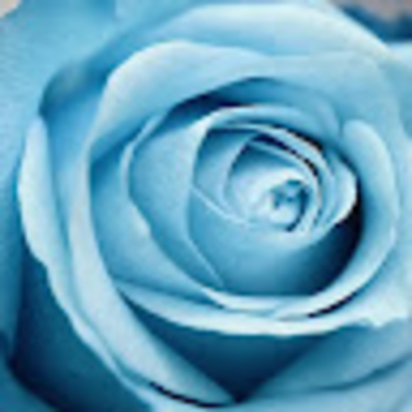 Meet your Posher, Anastasia - Picture 1 of 1